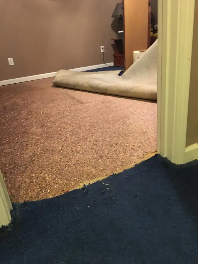 Carpet pad removal revealing water damage during Water Mitigation Services in Richmond